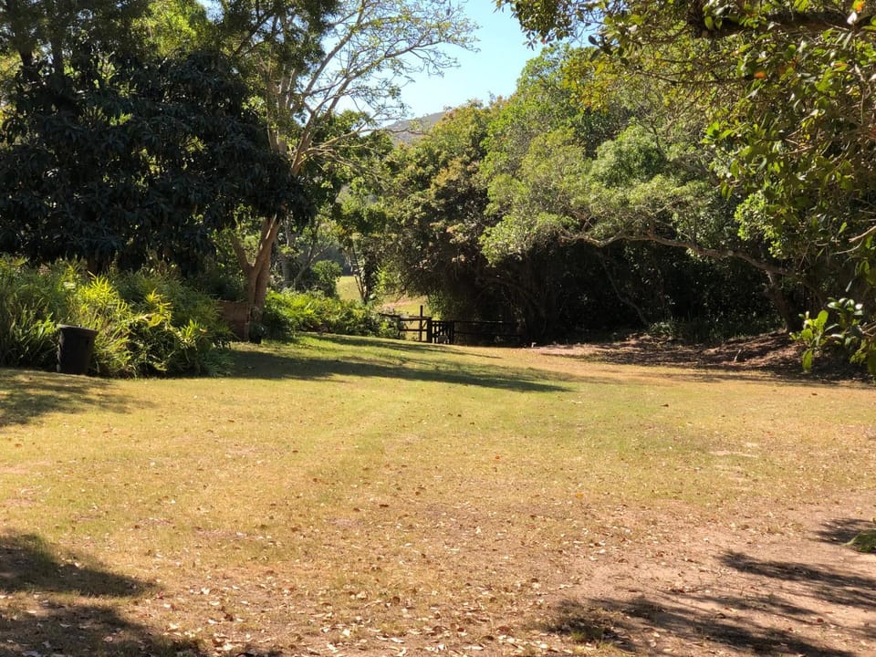 Natural landscape