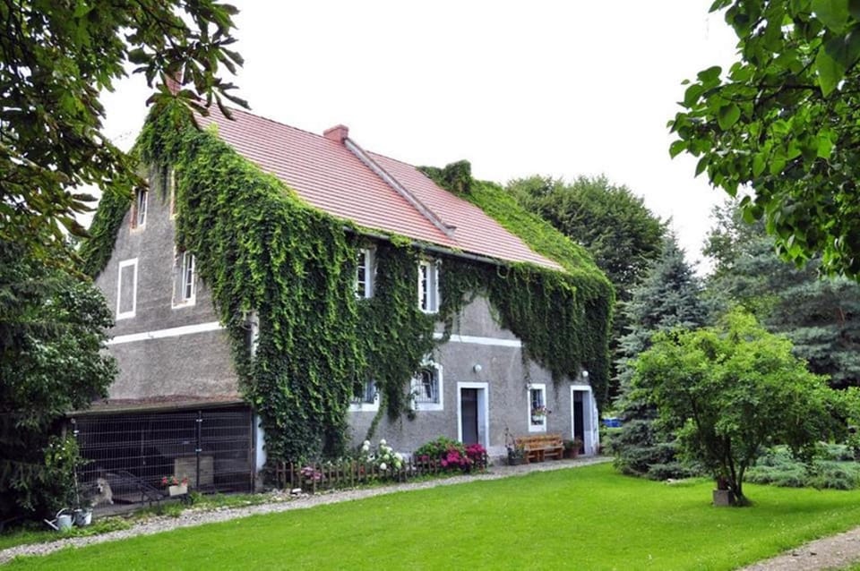 Facade/entrance, Garden, Garden view
