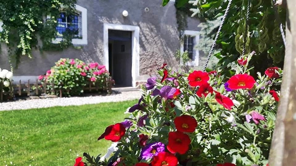 Facade/entrance, Natural landscape, Garden, Garden view