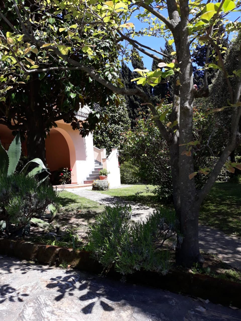 Garden, Garden view