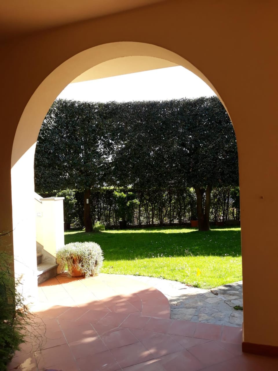 Garden view