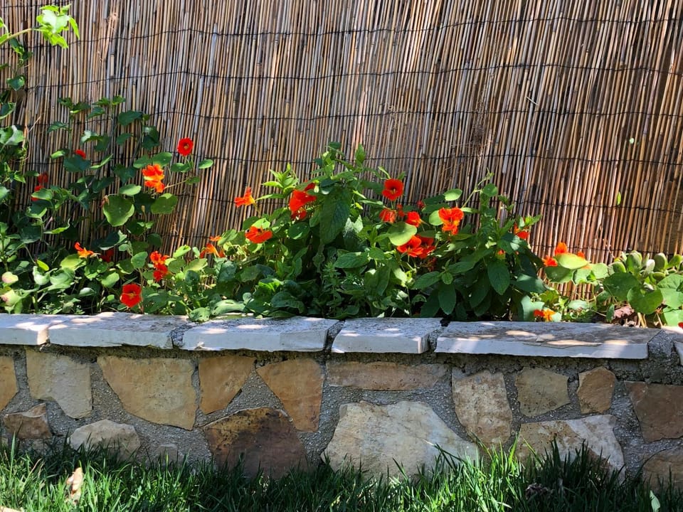 Patio, Garden