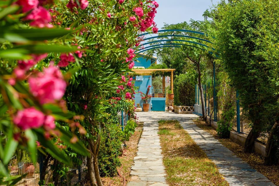Marianna Cottage Country House in East Attica Regional Unit, Greece