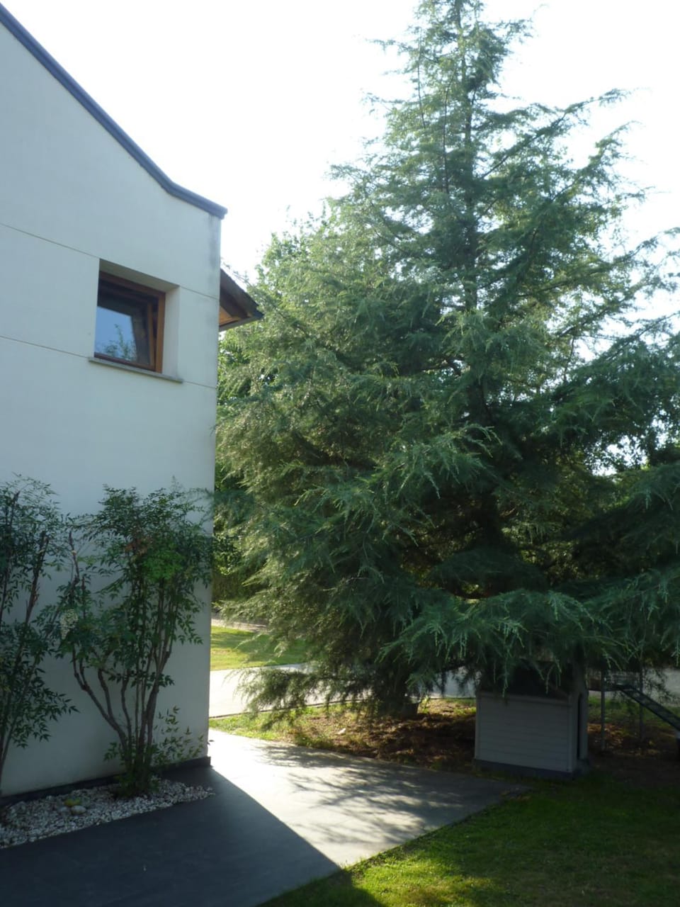 Decorative detail, Garden view