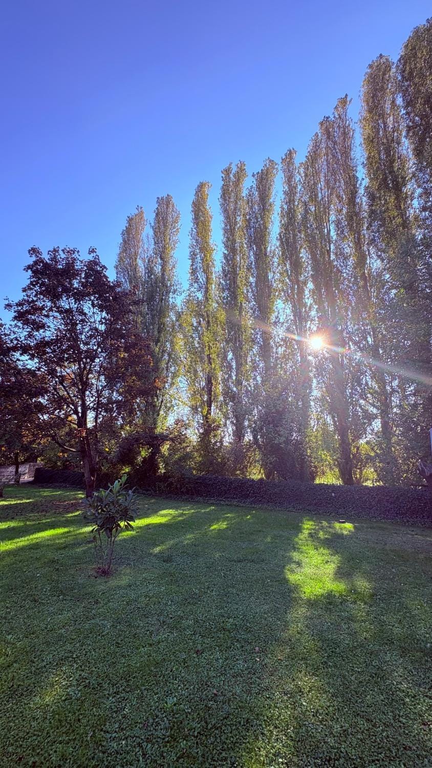 Garden, Garden view
