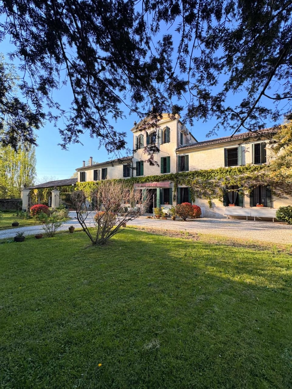 Property building, Garden view