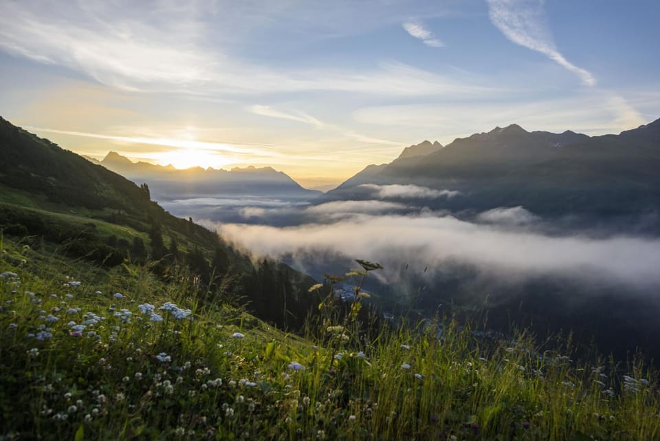 Natural landscape