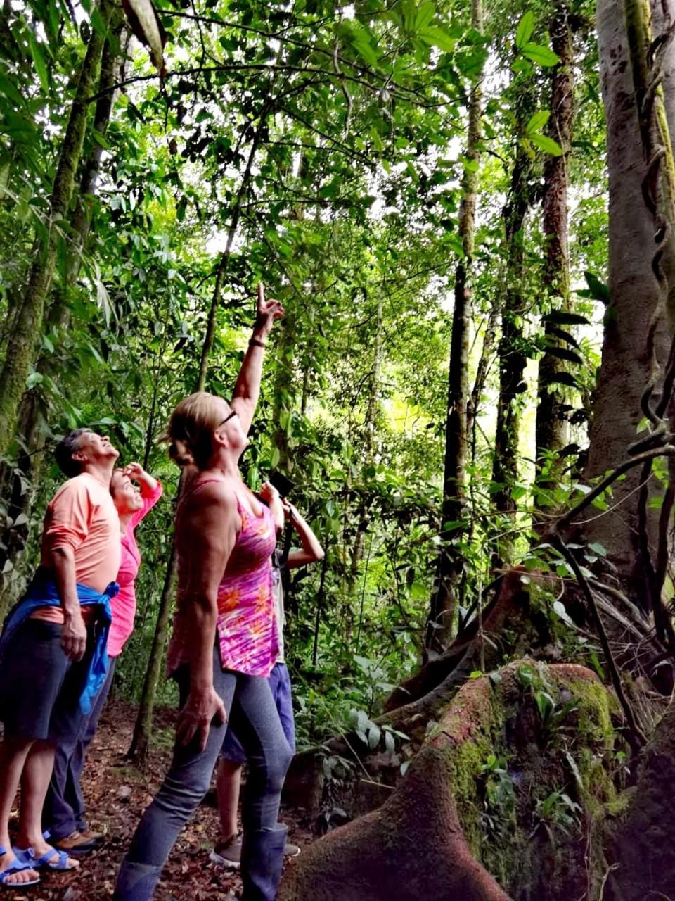 Garden, Hiking