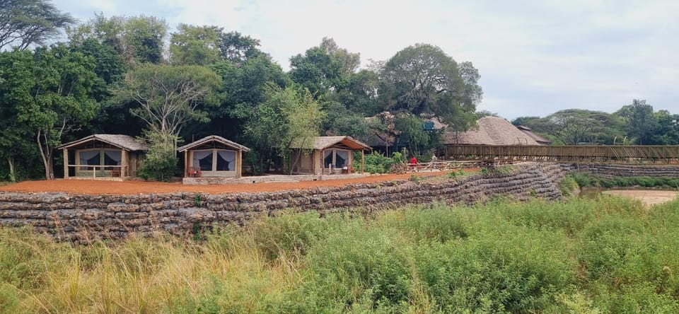 Fig Tree Camp - Maasai Mara Luxury tent in Kenya