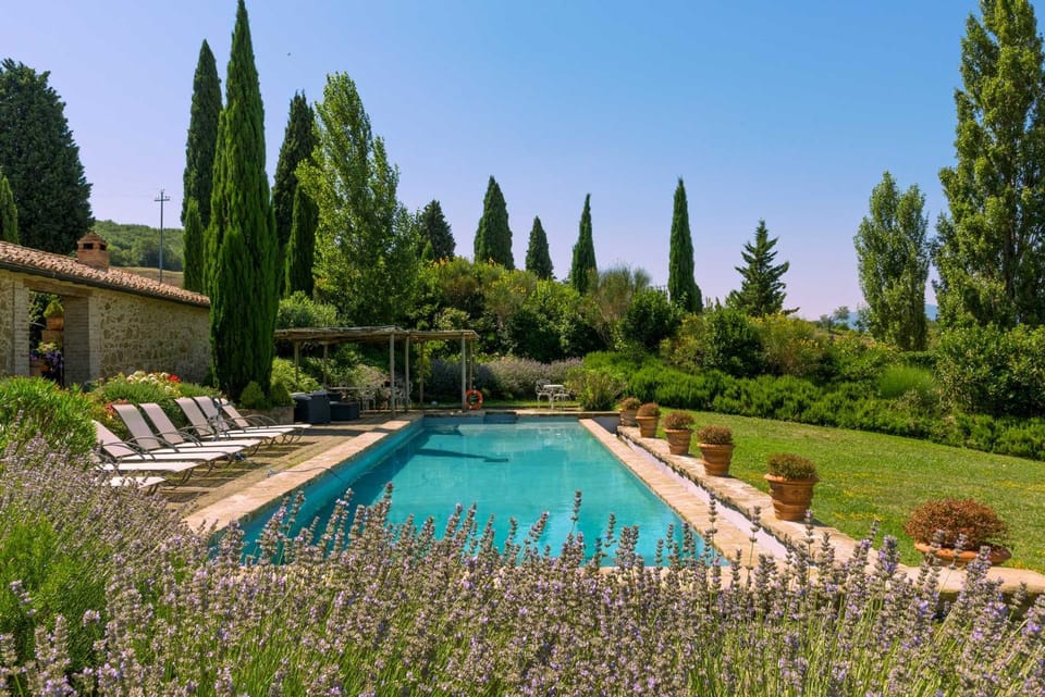 Pool view, Swimming pool