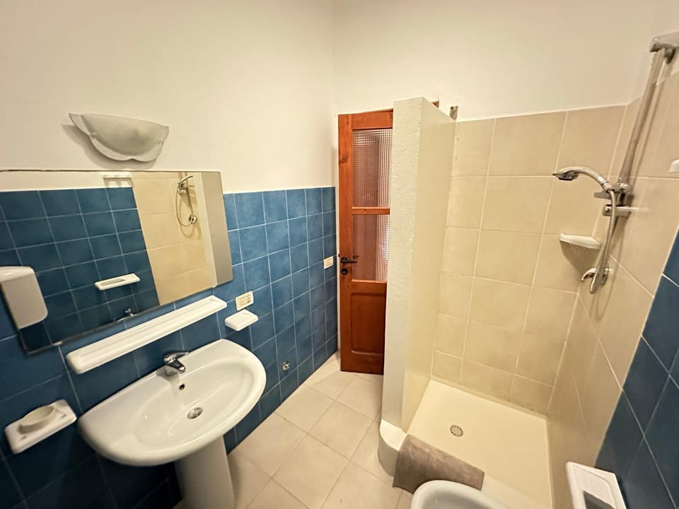 Shower, Toilet, Bathroom, bidet