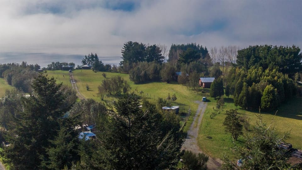 Natural landscape, Bird's eye view, Garden view