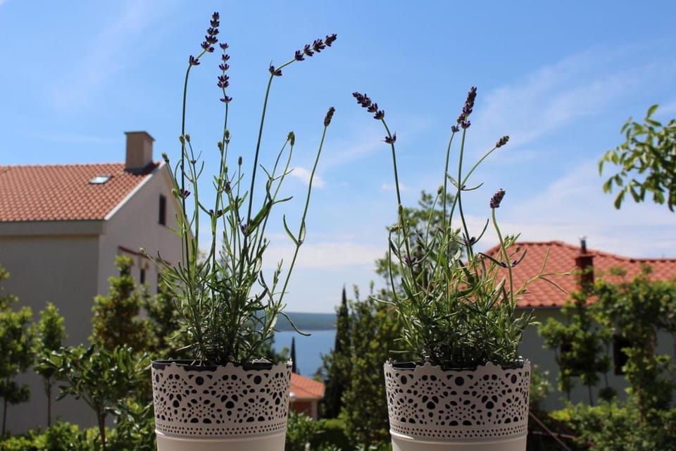 Mia 4 Apartment in Crikvenica