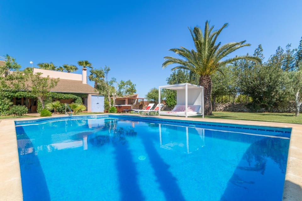 Property building, Swimming pool, Swimming pool