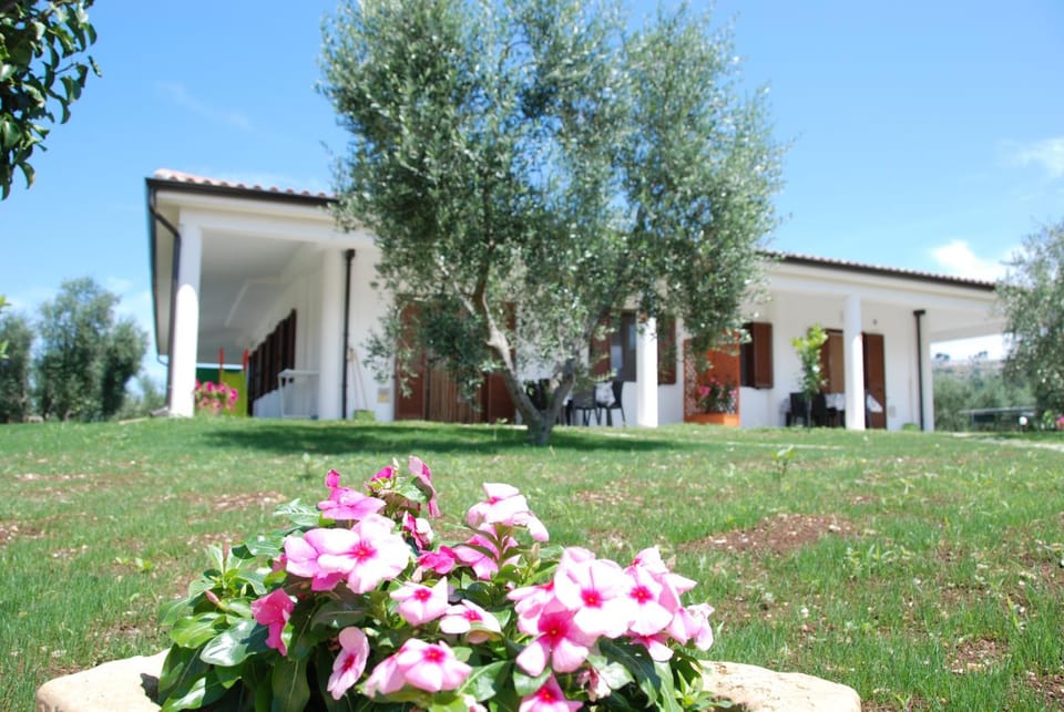 Property building, Garden, Garden, Garden view