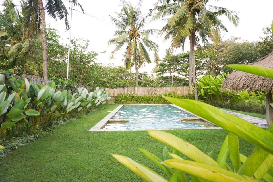 Garden, Swimming pool, Swimming pool