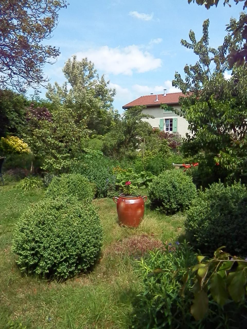 Garden view