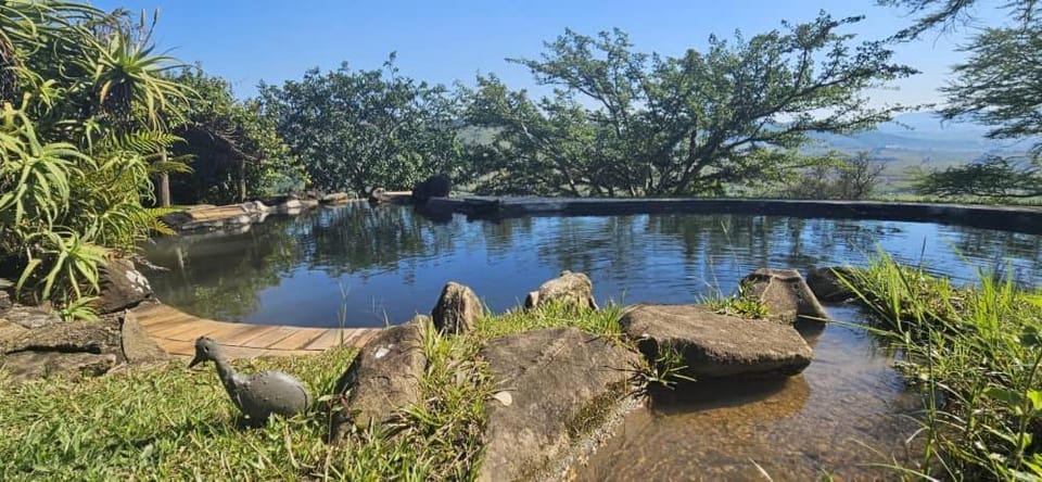 Natural landscape, River view, Swimming pool