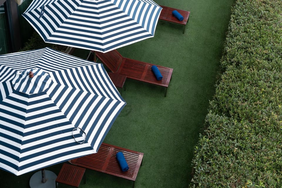 Day, Garden, Garden view