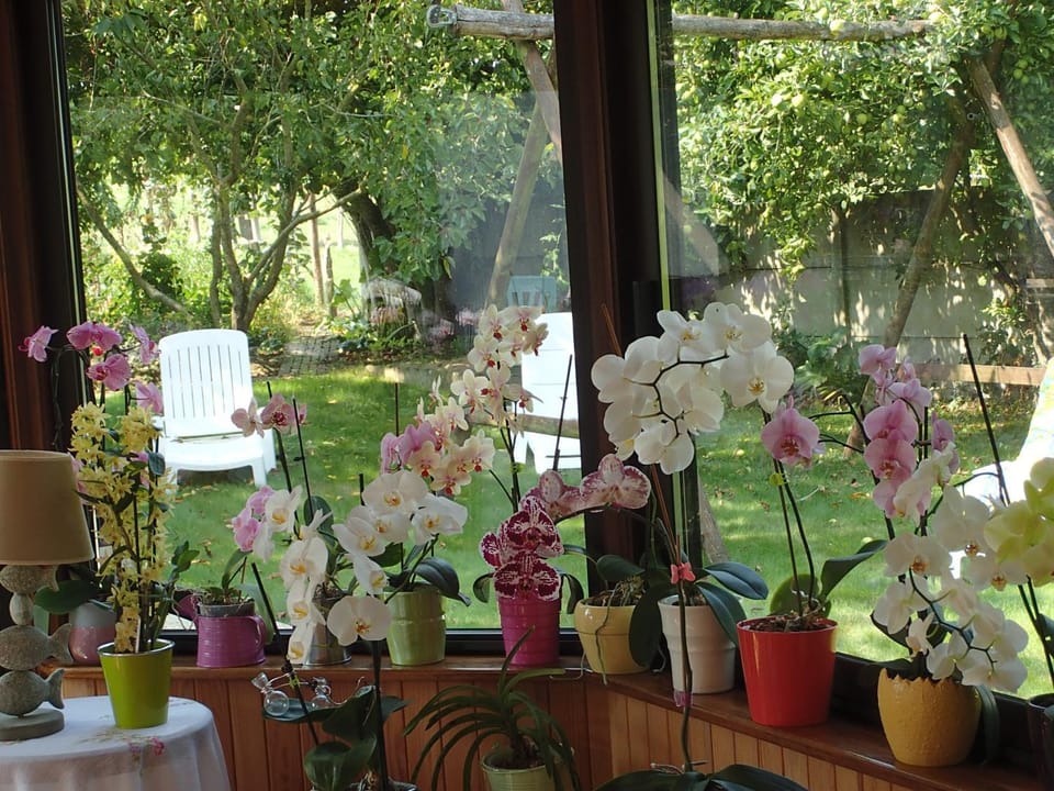 Chambre d'Hôtes Broualeuc Bed and Breakfast in Brittany