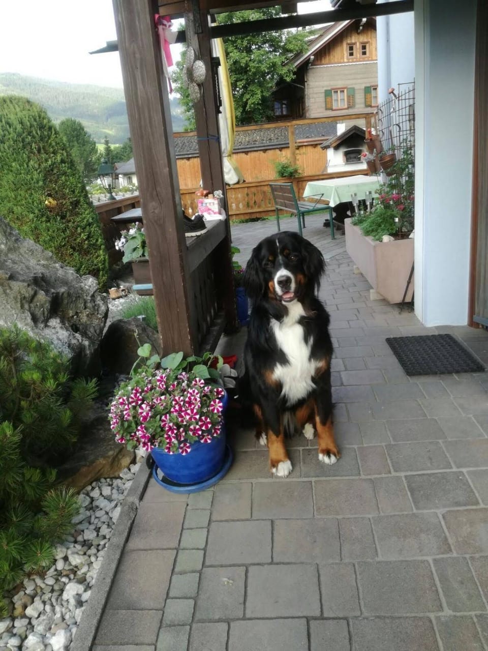 Balcony/Terrace, On site, Pets, Garden view, Family