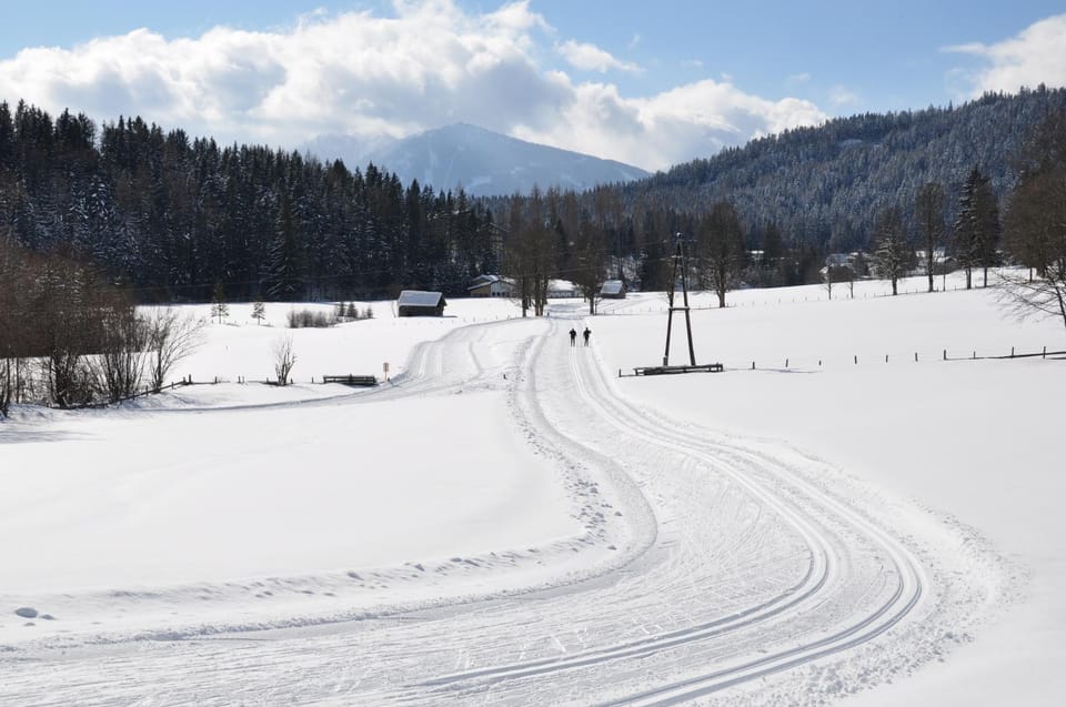 Natural landscape, Winter, Skiing, On site, Sports