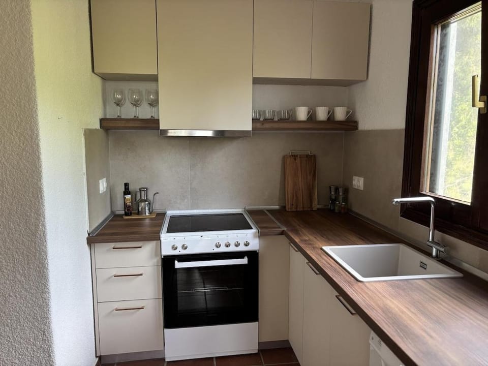 Kitchen or kitchenette, dishwasher, stove, kitchen, kitchen