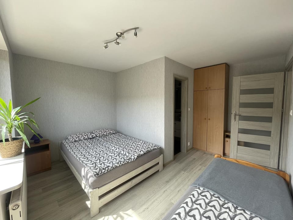 Bed, Bathroom, Photo of the whole room, Bedroom, wardrobe