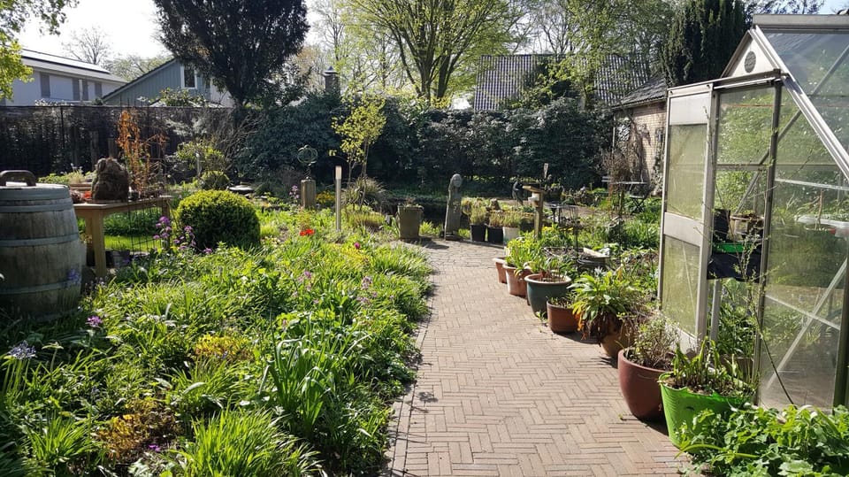 Spring, Day, Garden