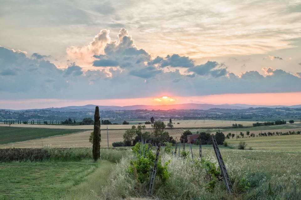 Natural landscape, Sunset
