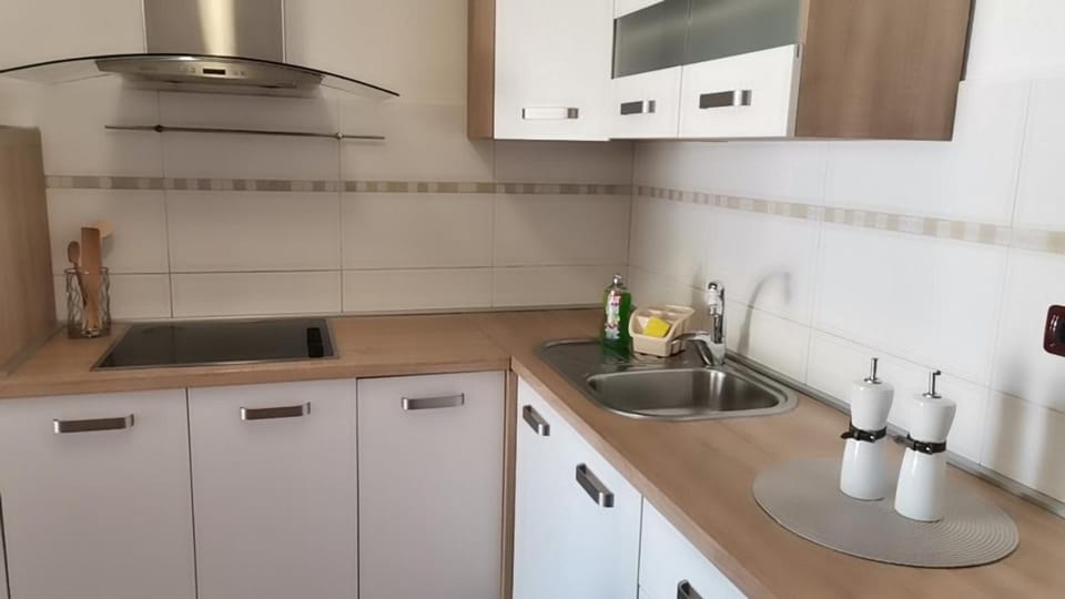 Renato Apartment in Istria County