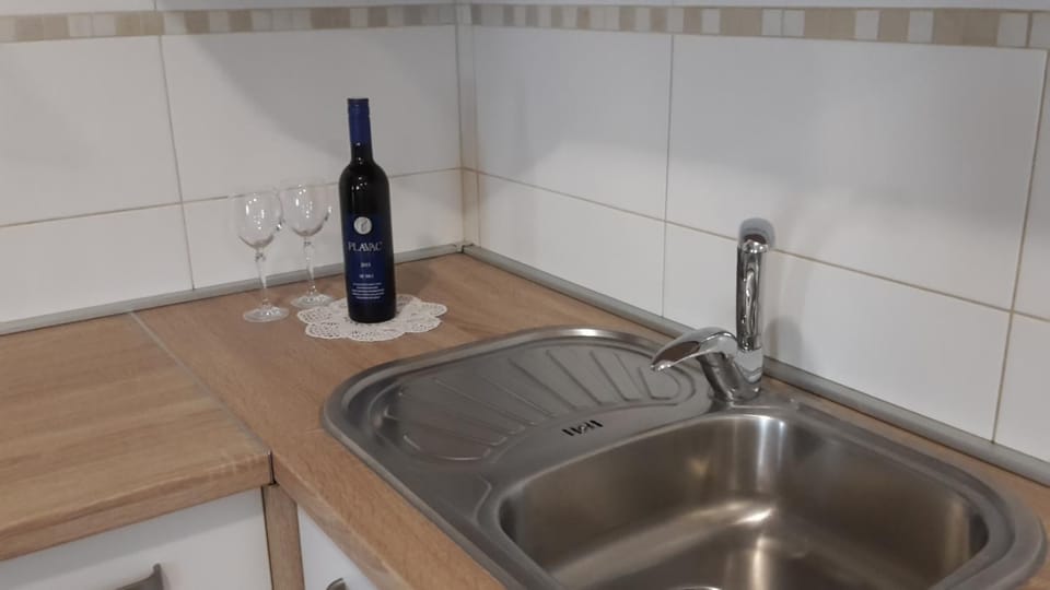 Renato Apartment in Istria County