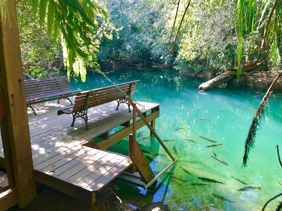 Activities, Balcony/Terrace, On site, River view, Entertainment