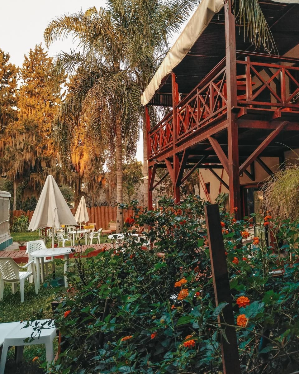 Day, Garden, Garden view