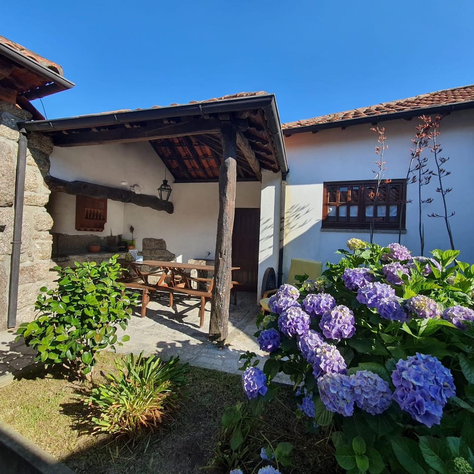 Patio, Garden view