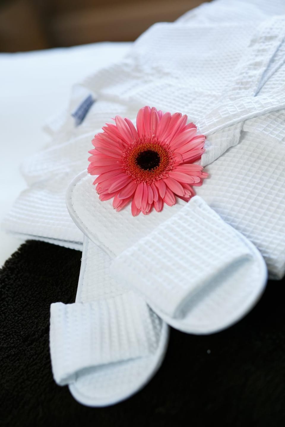 Margaret's Cottage B&B Bed and Breakfast in Northern Ireland