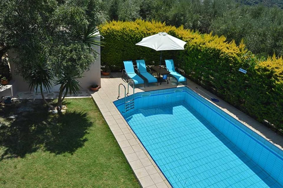 Garden, Swimming pool