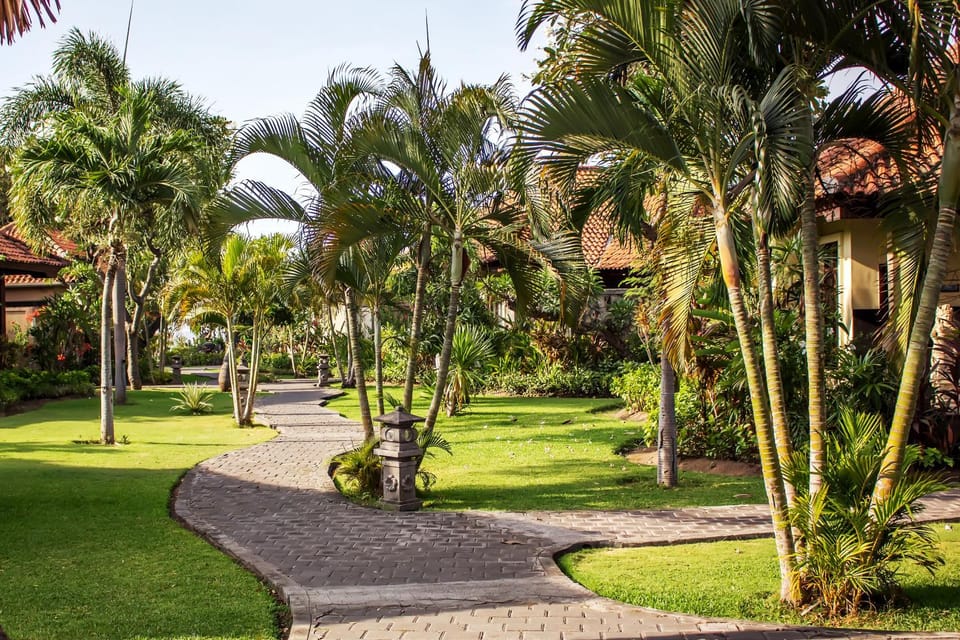 View (from property/room)