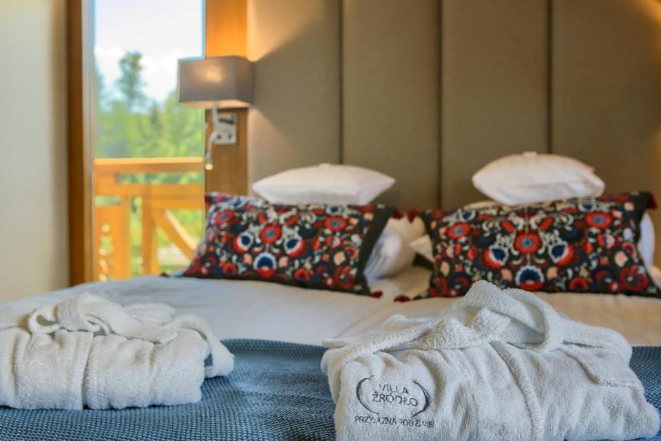 Villa Źródło & Spa Vacation rental in Lesser Poland Voivodeship