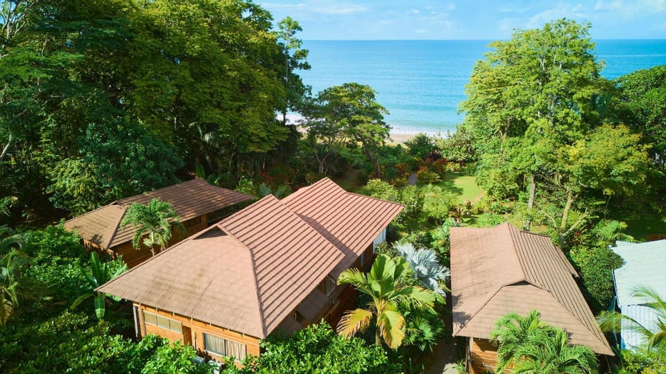Property building, Day, Bird's eye view, Garden view, Sea view