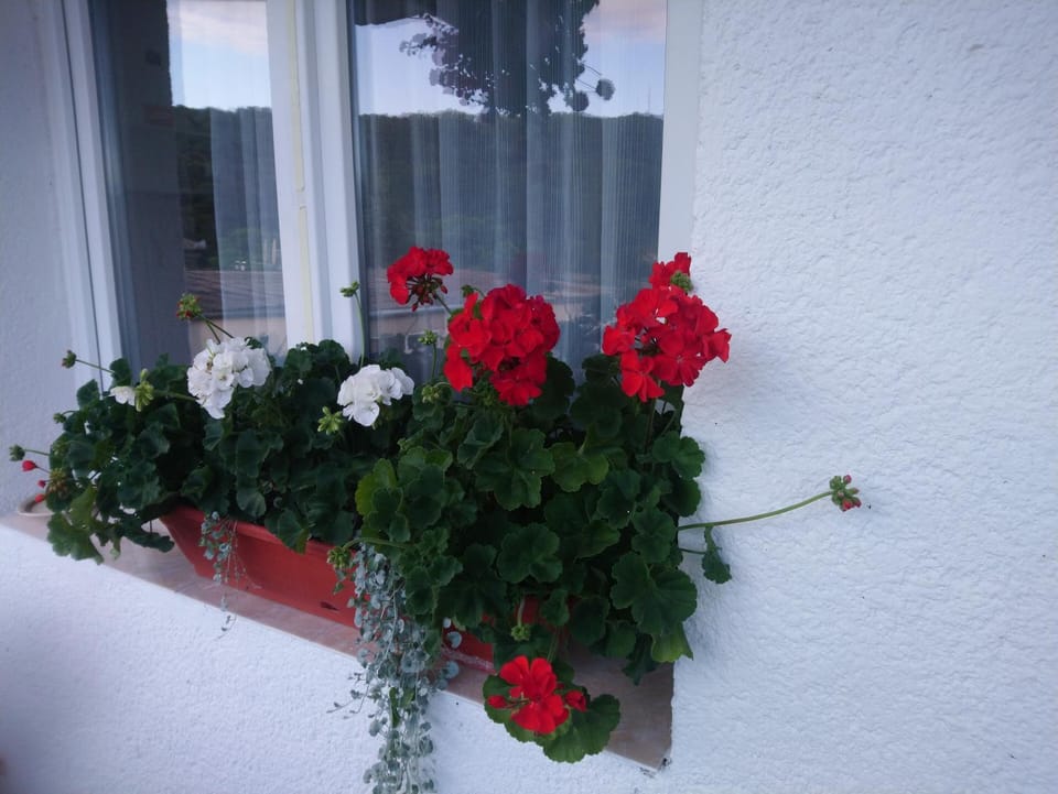 Apartament Relax Apartment in Romania