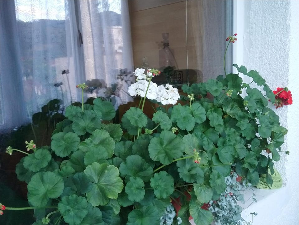 Apartament Relax Apartment in Romania