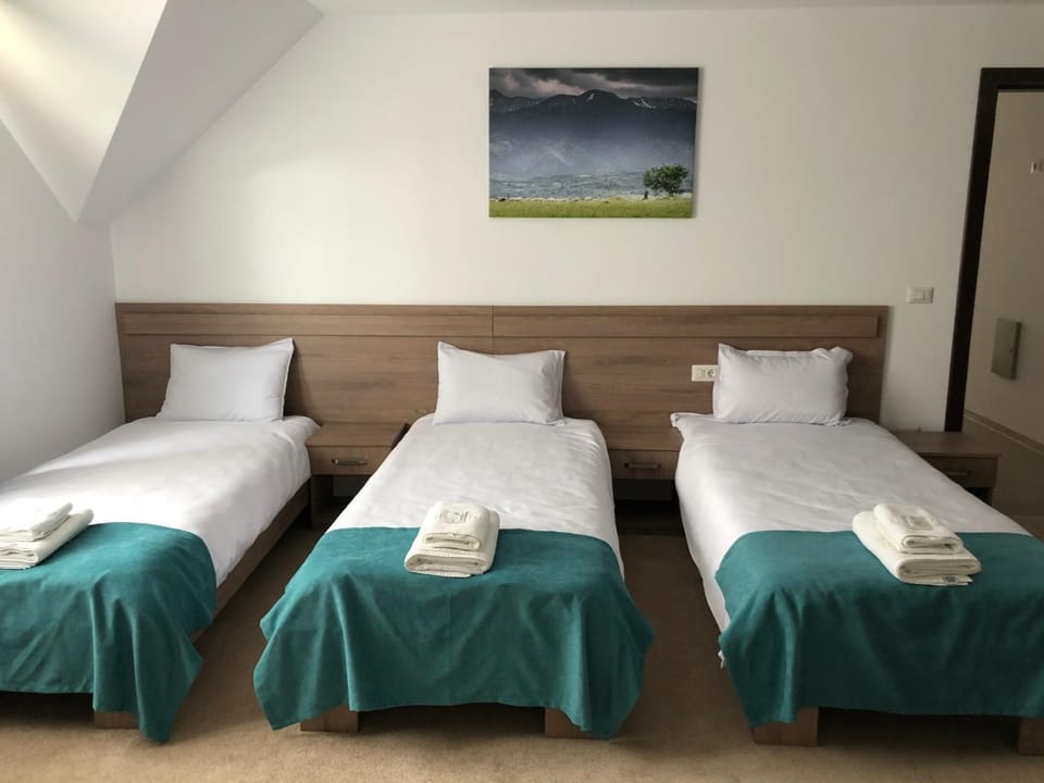 Pensiunea Gamas Bed and Breakfast in Romania