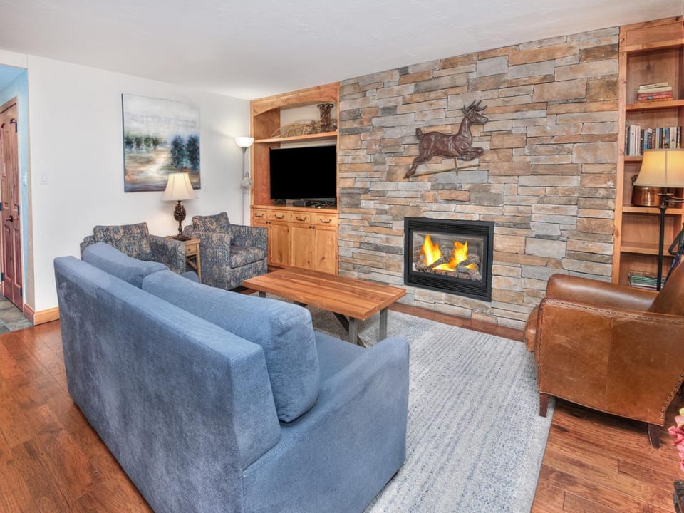 Vantage Point Condo 201 Apartment in Vail