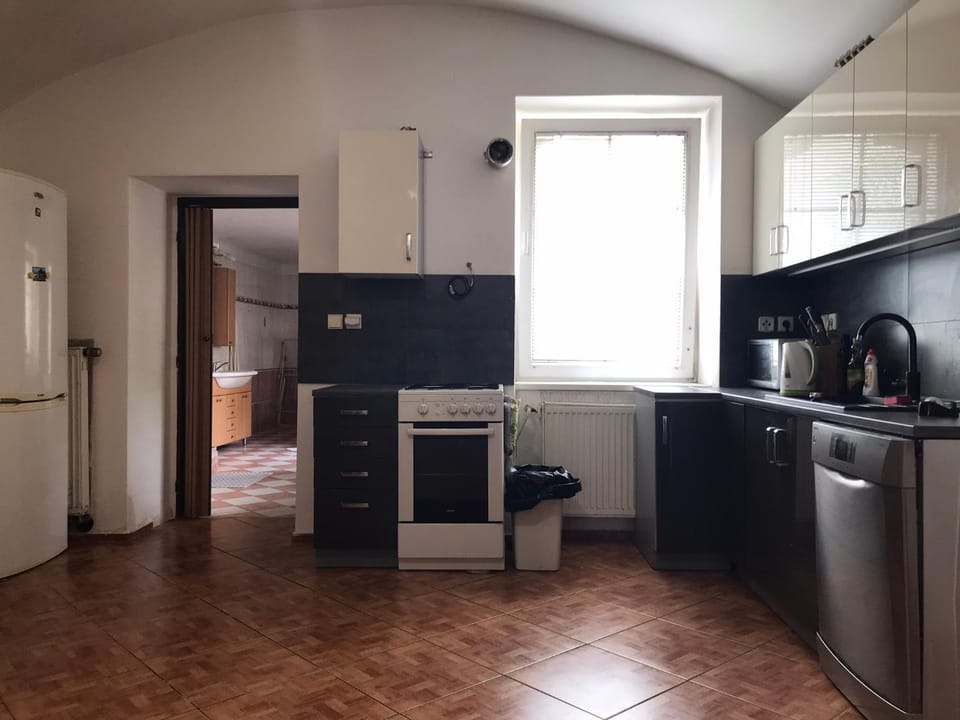 Dvacítka Apartment in South Bohemian Region