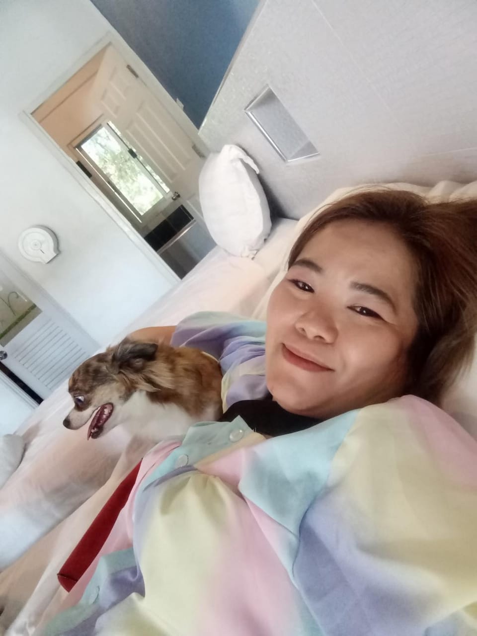 Animals, Animals, Pets, Pets