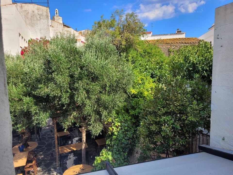 Garden view