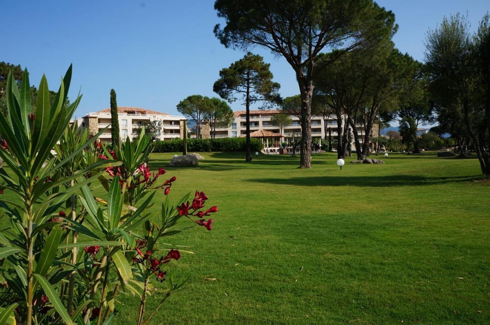 Natural landscape, Garden