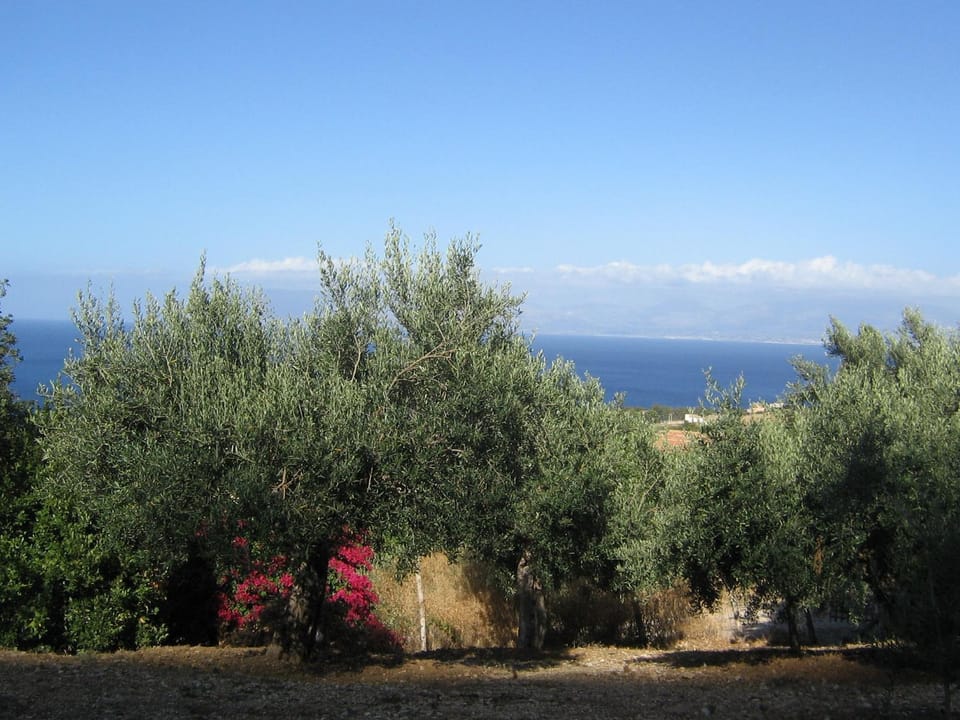 Natural landscape, Sea view