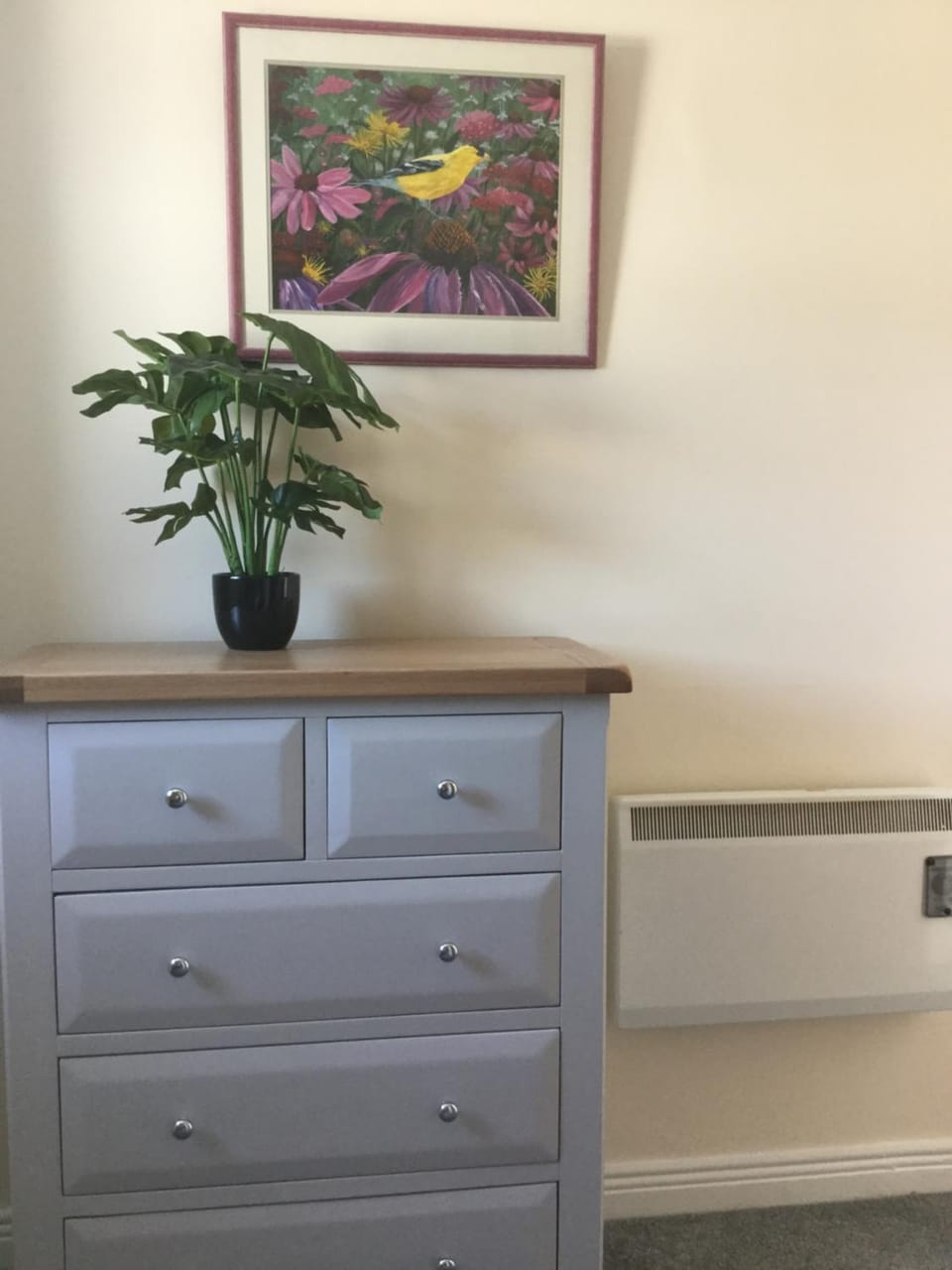 Rose Alley Apartment Apartment in Westport